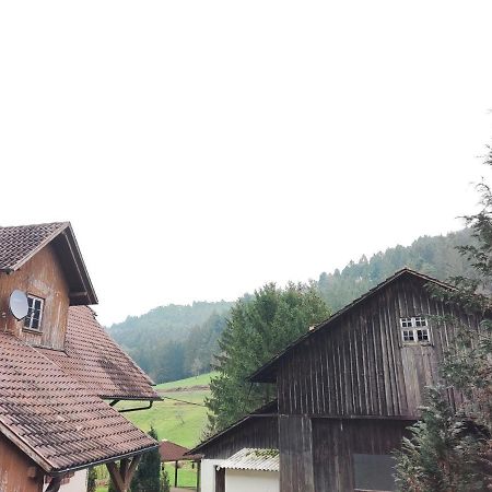 Geraeumige Wohnung Im Schwarzwald Seelbach  Kültér fotó
