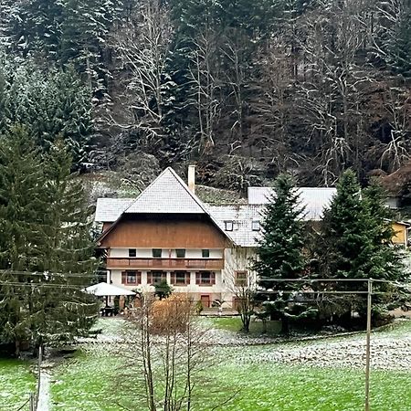 Geraeumige Wohnung Im Schwarzwald Seelbach  Kültér fotó