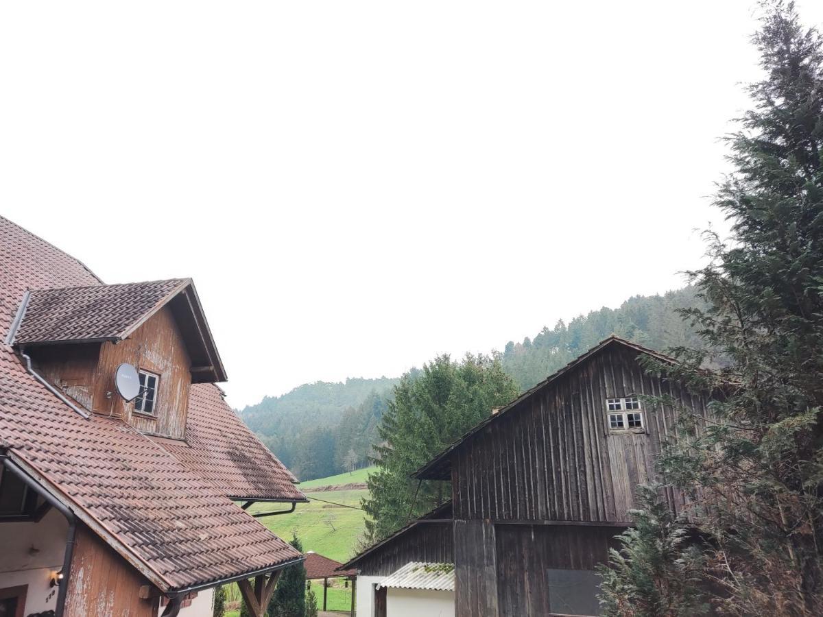 Geraeumige Wohnung Im Schwarzwald Seelbach  Kültér fotó