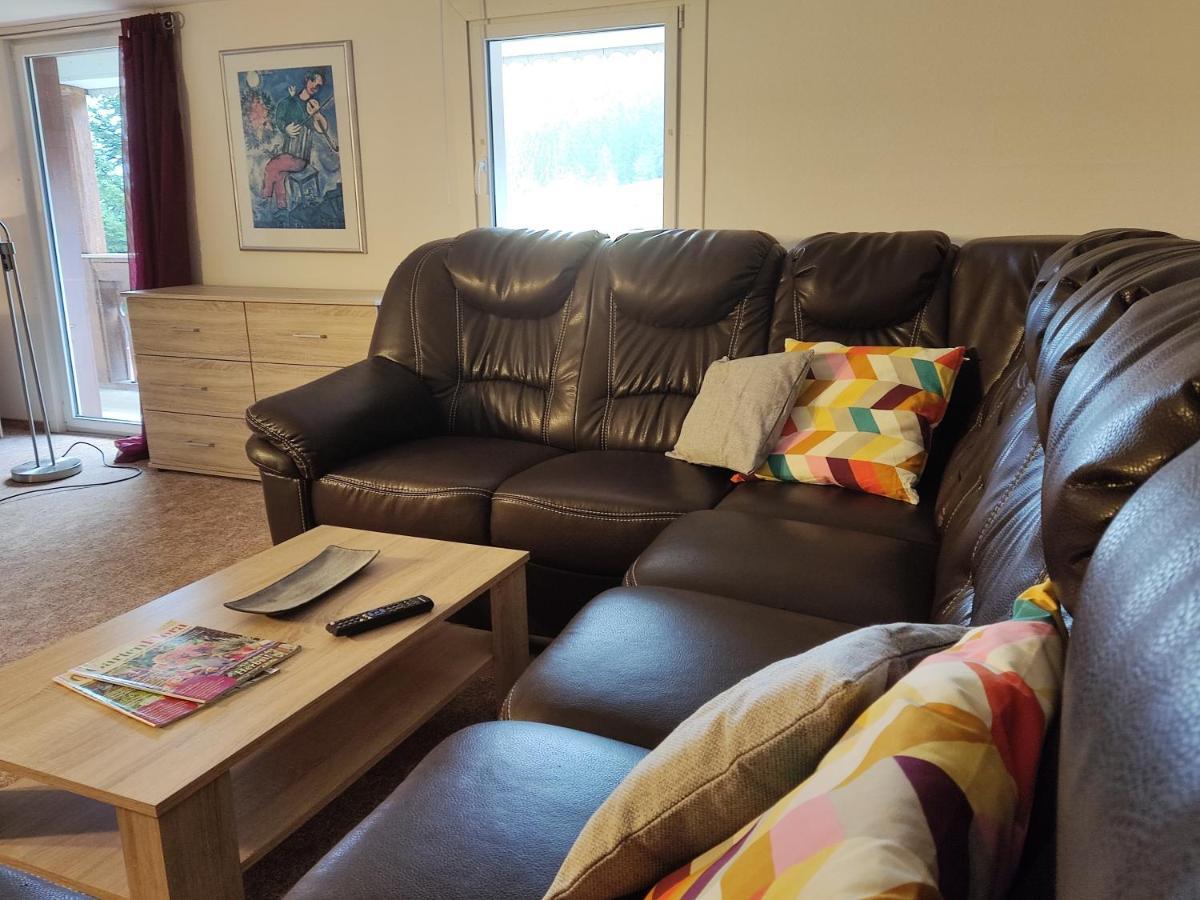 Geraeumige Wohnung Im Schwarzwald Seelbach  Kültér fotó